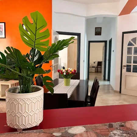 Seamply Apartment Il Mare In 1 Minuto Maiori Exterior photo